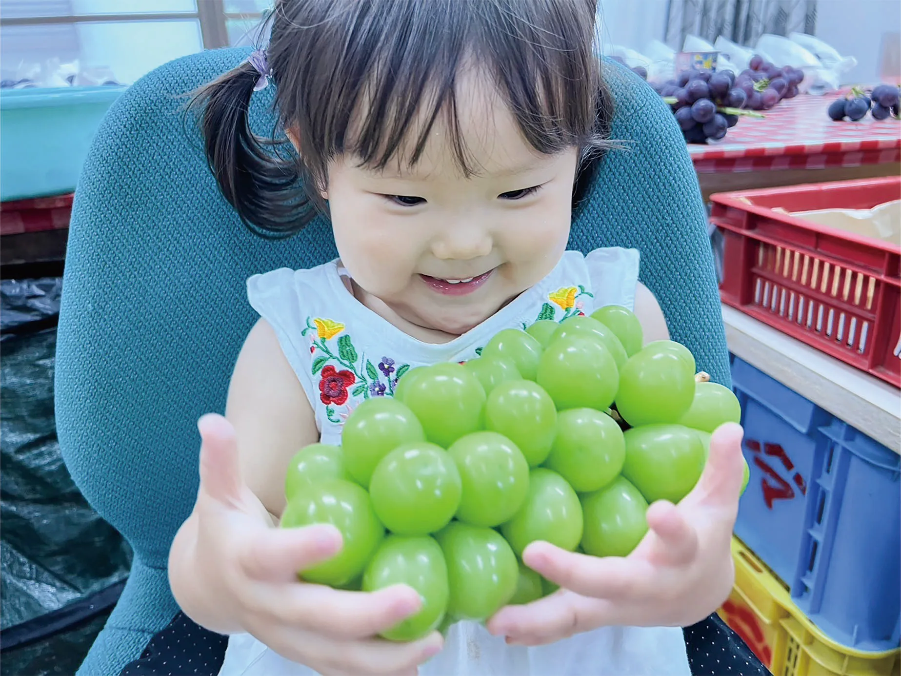 秋果園のシャインマスカットを嬉しそうに抱える子ども